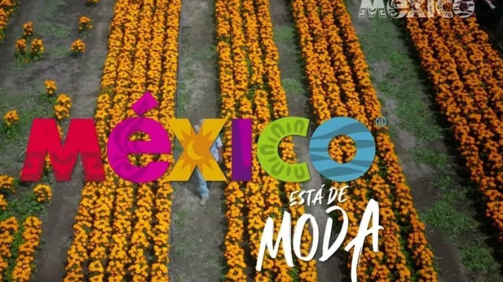 8f458078-4e00-4dc6-b0f6-b62b9f02db17-rjwf2gd7sqhacaflrnhmdg0yxxs55pyu5grhc8xy0s-rm3vpms1z8oqtvmdc74cphyl4cszad1o0ve6kkram4