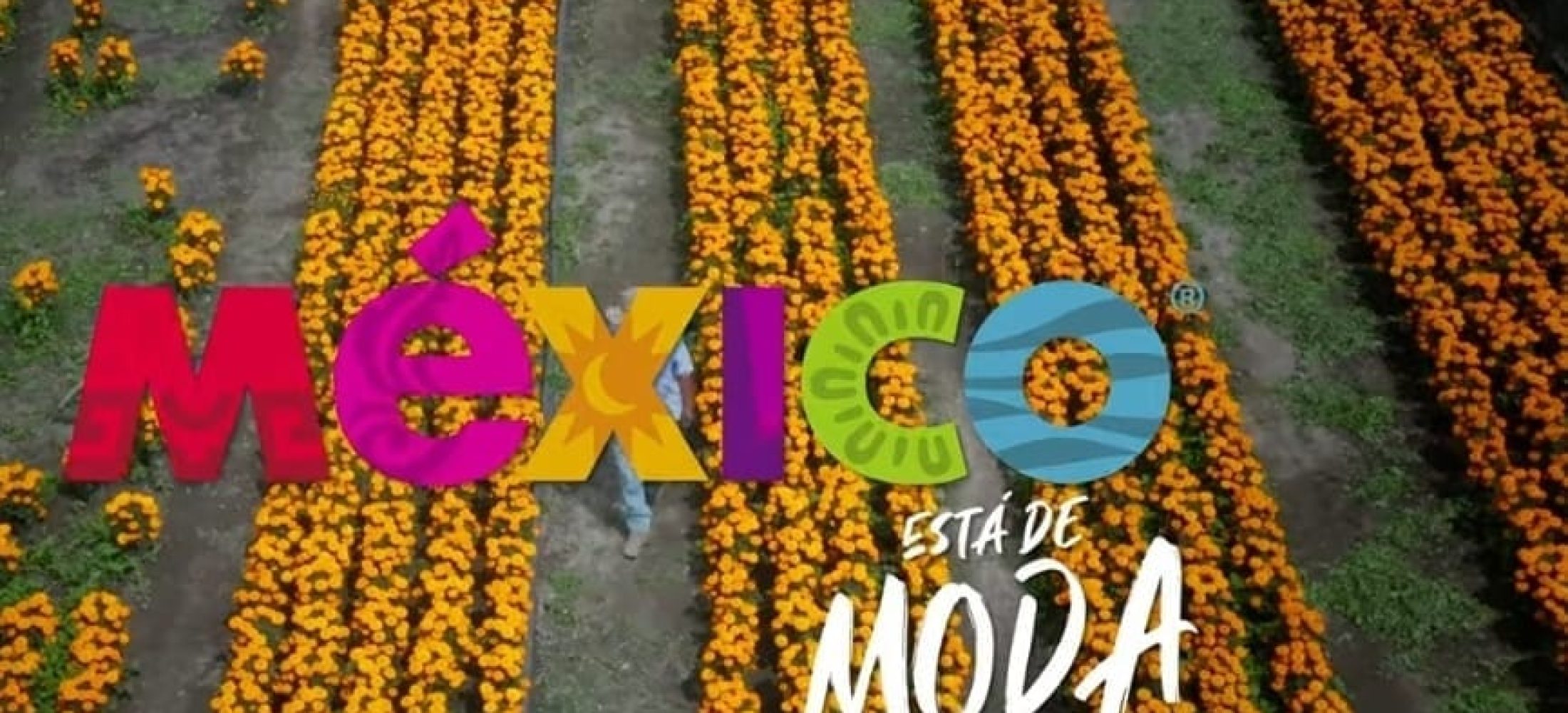 8f458078-4e00-4dc6-b0f6-b62b9f02db17