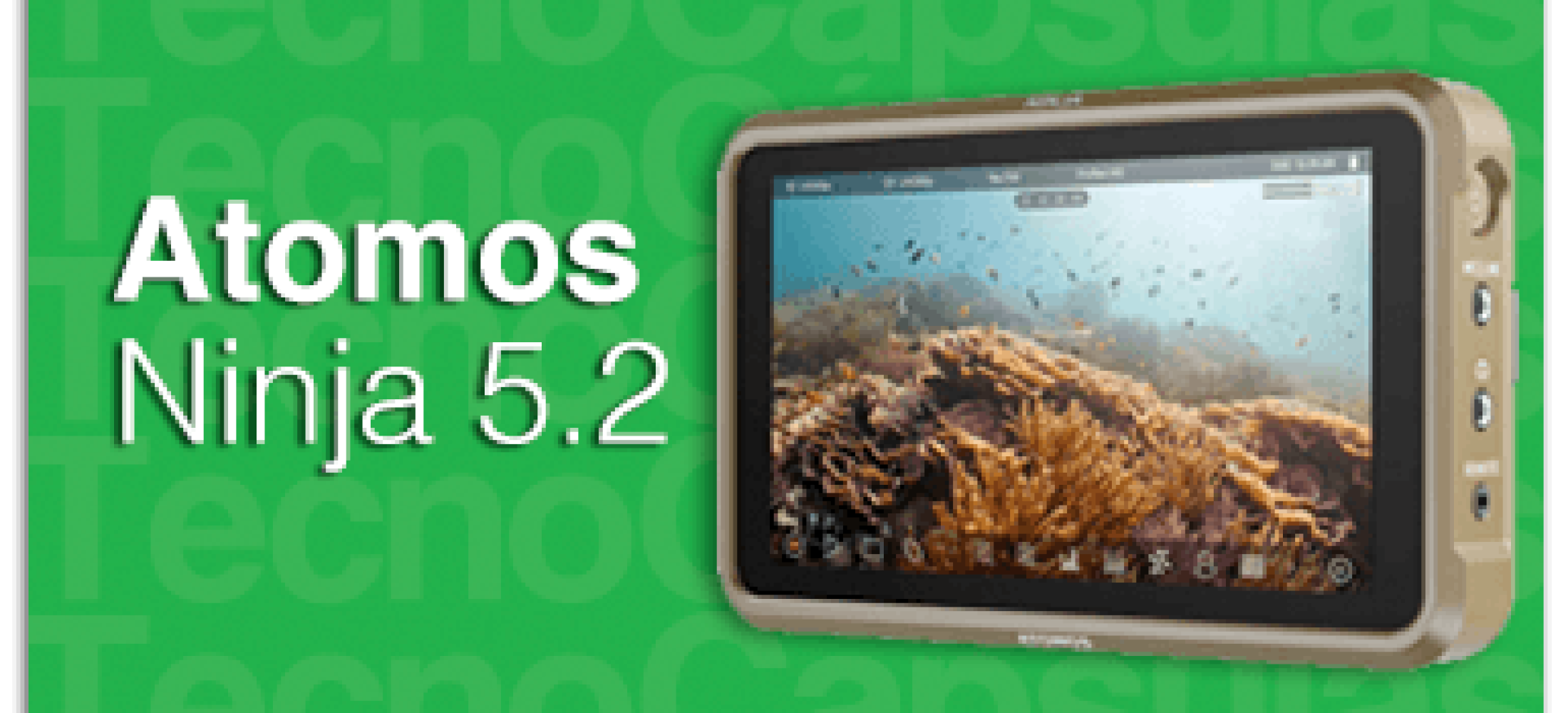 AtomosNinja5.2GDe