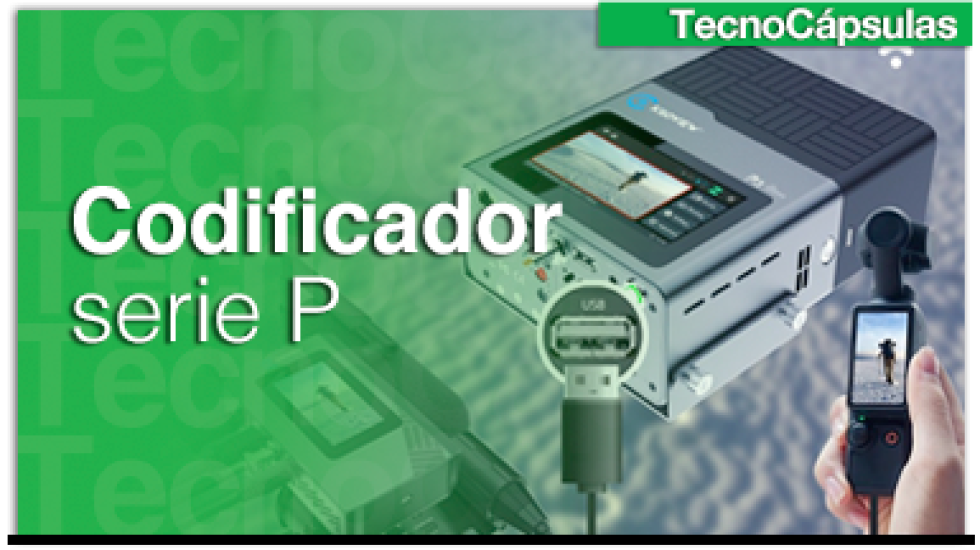 CodificadorseriePGDe