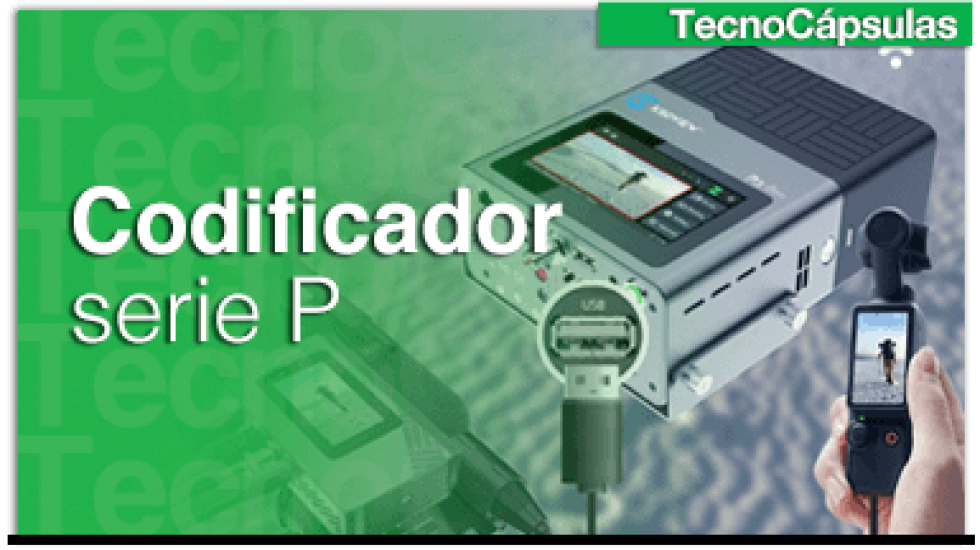 CodificadorseriePGDe