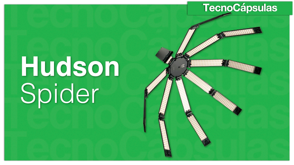 HudsonSpider