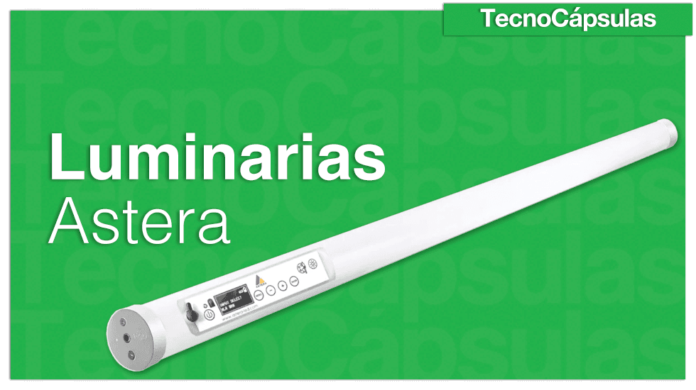 LuminariasAstera