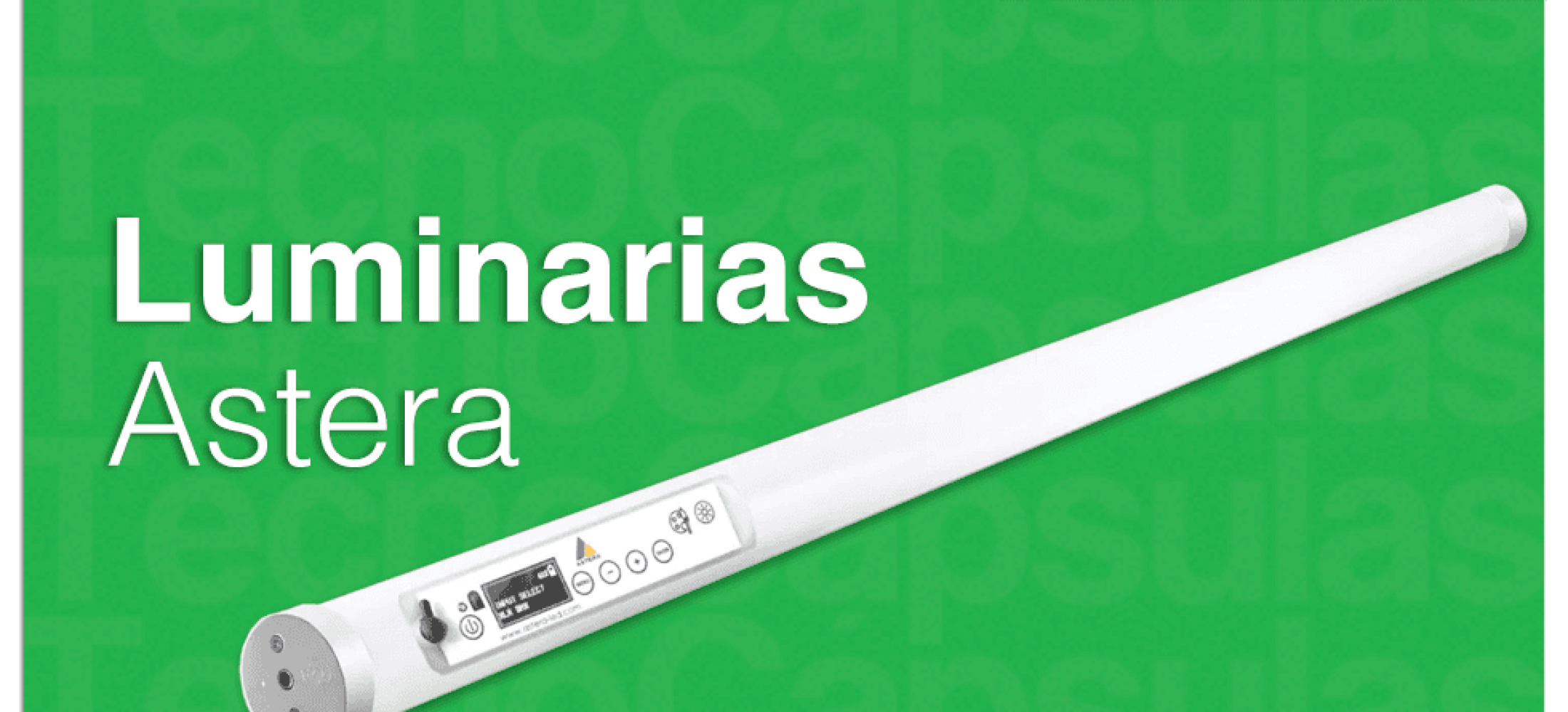 LuminariasAstera