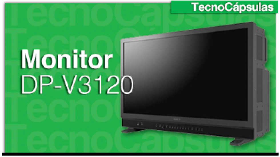 MonitorDP-V3120GDe