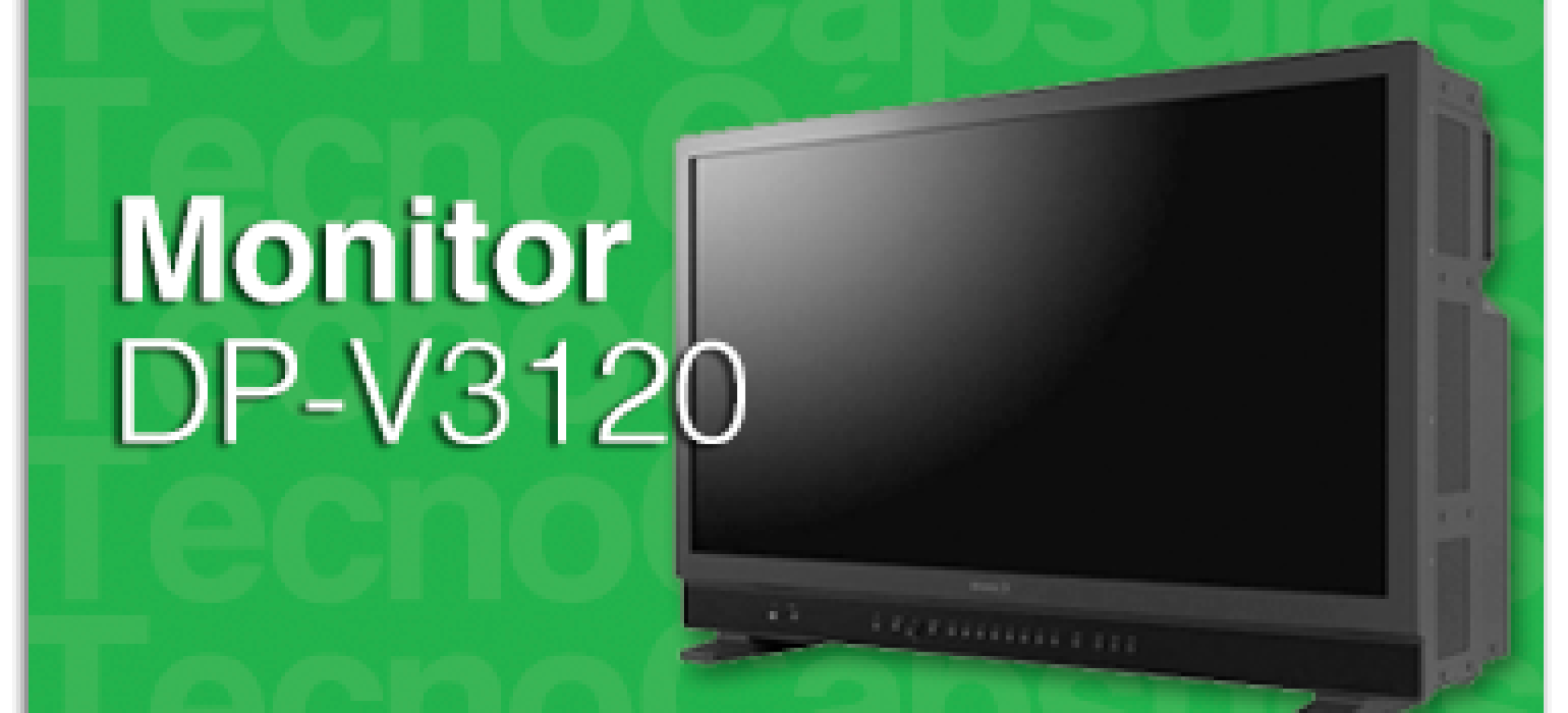 MonitorDP-V3120GDe