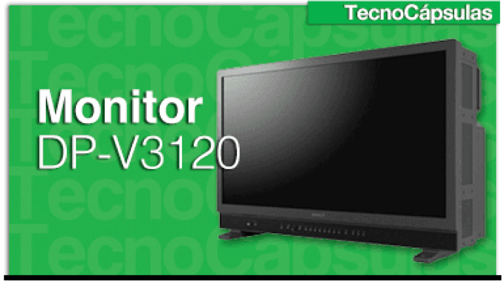 MonitorDP-V3120GDe