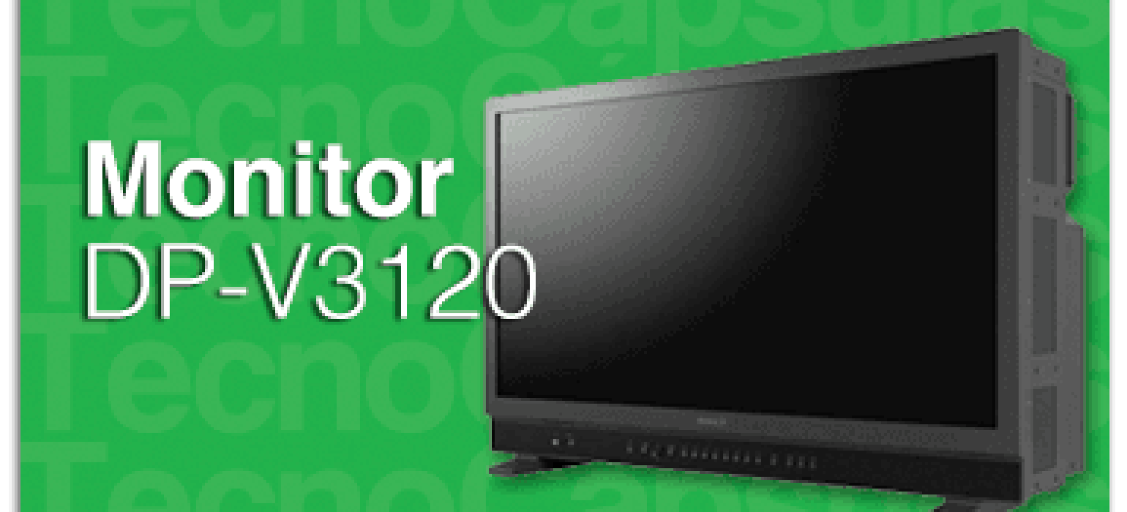MonitorDP-V3120GDe