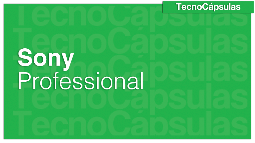 SonyProfessional-1